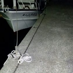 やっと釣れた貴重なメバル