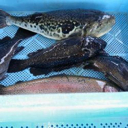 冬の釣り堀田尻