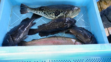 冬の釣り堀田尻