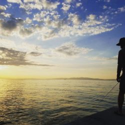 短時間アジング