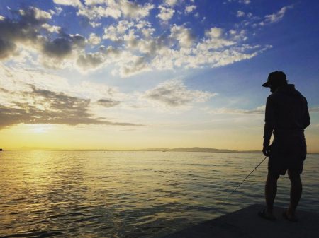 短時間アジング