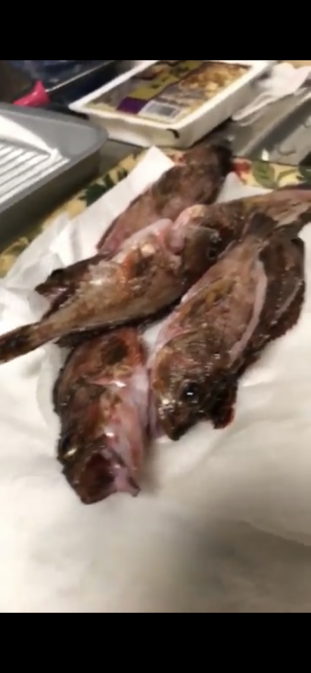 たこ焼きの為に