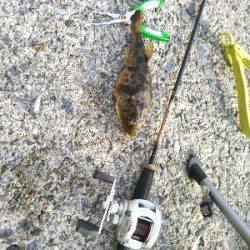 フグしか釣れない…