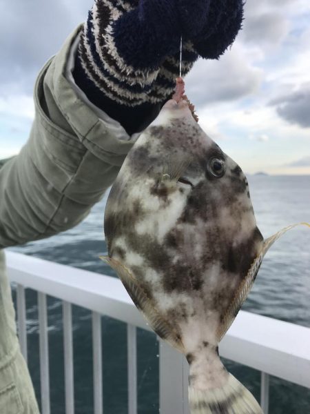 カワハギ釣り