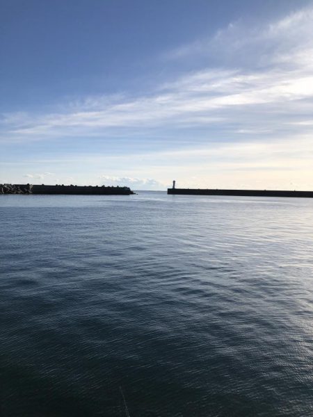 今年初獲物はモンゴウイカ