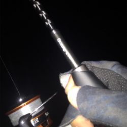 今年初メバリング