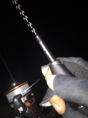 今年初メバリング