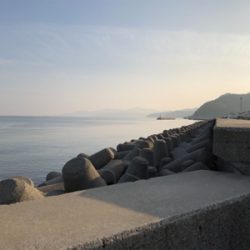 釣り日和だか…