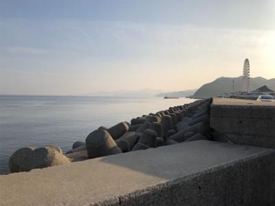 釣り日和だか…