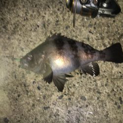 帰り際になんとか