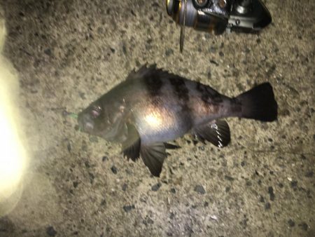 帰り際になんとか