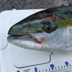 朝イチにヒット