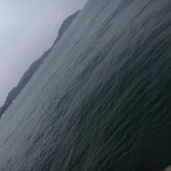 アタリは短時間