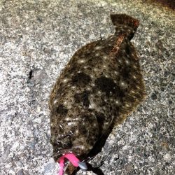 本命ではないけど、、、