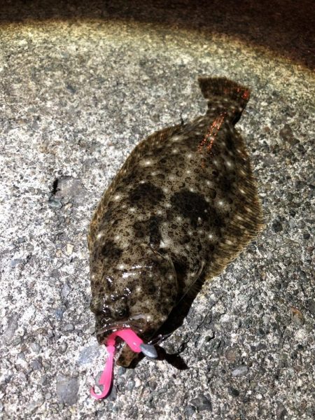 本命ではないけど、、、