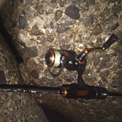 極寒のメバルリング