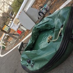 リアクションバイト