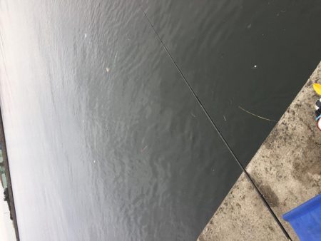 ハネ厳しいです。