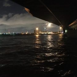 まだまだ南港、楽しいで！