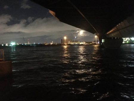 まだまだ南港、楽しいで！