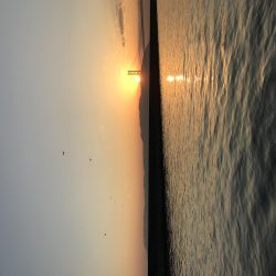 目標メバリング