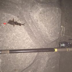 極寒のガシラ釣り