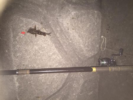 極寒のガシラ釣り