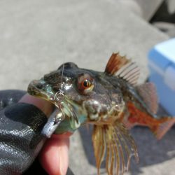 練習がてらライトゲーム