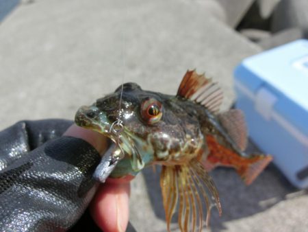 練習がてらライトゲーム