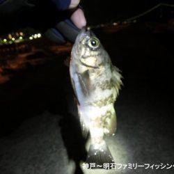 何とかボーズ逃れ