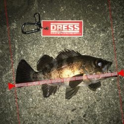 過去最高のメバリング