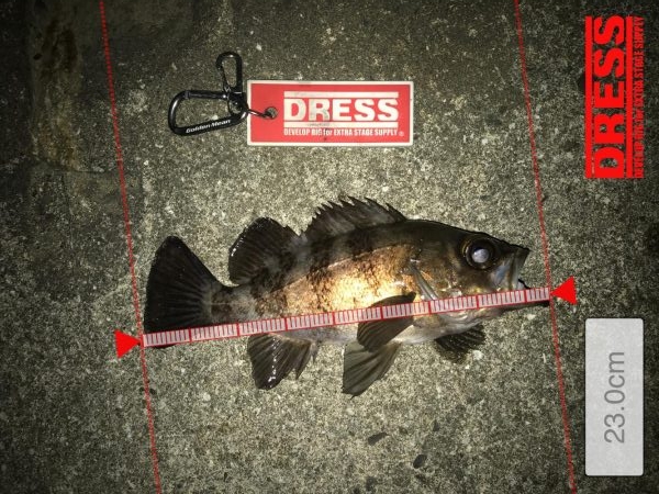 過去最高のメバリング