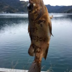 ガシングです！