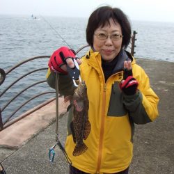 いきなりのアイナメ２３．５㎝