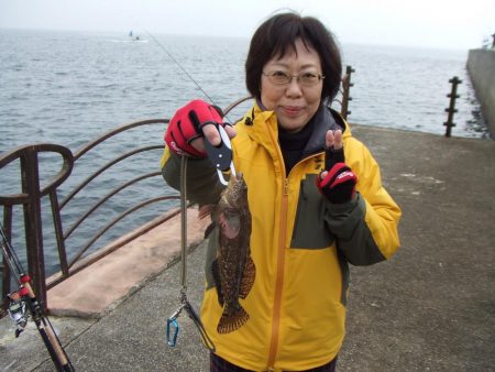 いきなりのアイナメ２３．５㎝