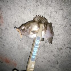 雪がちらついているなか、なんとかヒット！