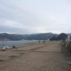 アジキャロで釣れたのは