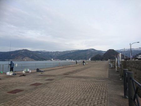 アジキャロで釣れたのは