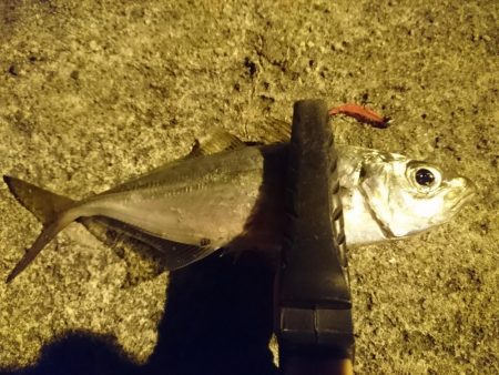 風なしのいい日でしたが…