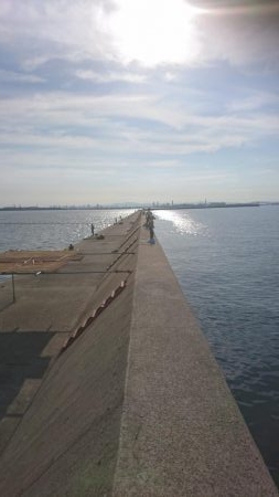 居残りタッチー