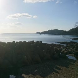 アジング釣り納め