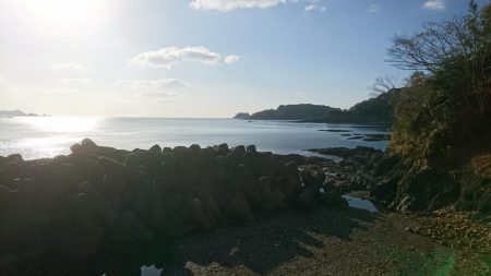 アジング釣り納め