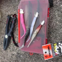 今季太刀魚完全燃焼