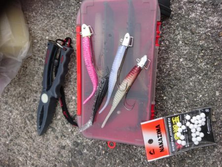 今季太刀魚完全燃焼