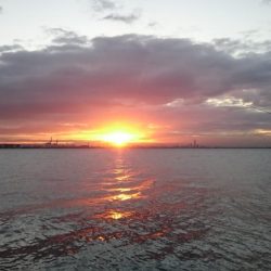 執念のラストタチウオ！