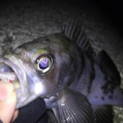 年間最も厳しい時期！