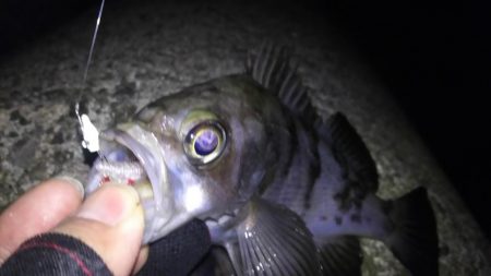 年間最も厳しい時期！