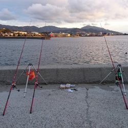 初釣り、カレイ釣り