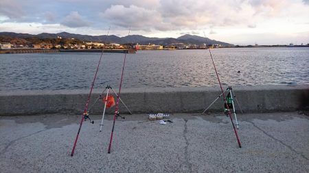 初釣り、カレイ釣り