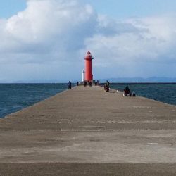 播磨新島赤灯台波止へキス釣査
